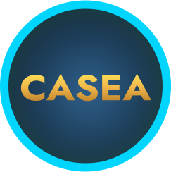 I 5 casinò online in Italia I 5 casinò online in Italia