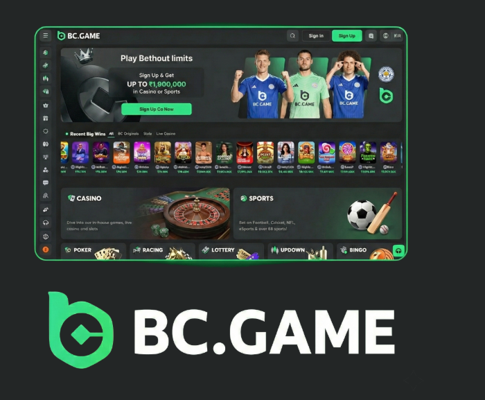 Experience Thrilling Gaming at BC.Game Online Casino